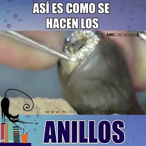 ¿Siempre te dio intriga? Mirá acá el PASO A PASO de cómo SE HACEN LOS ANILLOS. | PrimiciasYa.com