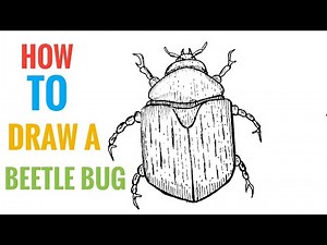 How to Draw a Beetle Bug | Simple Beetle Bug Drawing