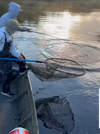 🎣🍂 As October and November roll in, it's the perfect time for some of the best musky fishing of the year! If you've been thinking about trying it out or have been waiting for the right moment, now's the time! Give me a call to book your trip and experience the thrill of fall musky fishing! 608 548 3376 Yogi Rods LLC The Bighorn Store Rivers Edge Off the hook guide service | Off the hook guide service
