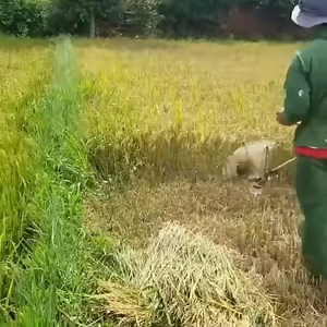 Côte d'Ivoire Lucide on Reels