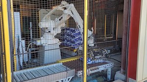 MESH Automation - Bag Palletizing - Case Study