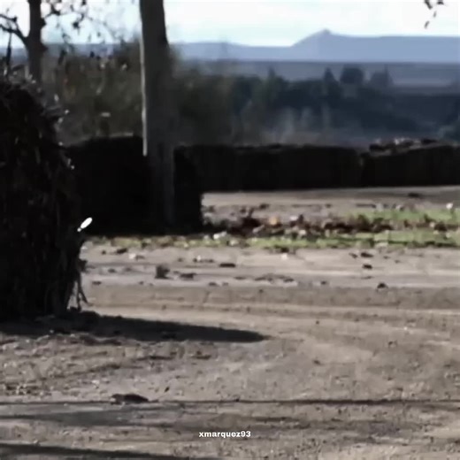 Marc Marquez's Journey to MotoGP Victory Next Year