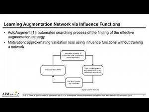 Learning Augmentation Network via Influence Functions
