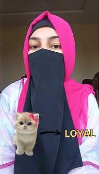 Anthropomorphism in Social Science