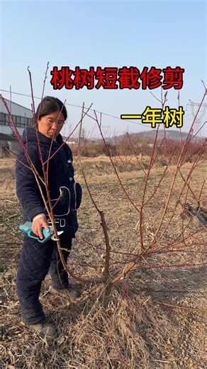 Essential Young Tree Pruning Techniques for Healthy Growth