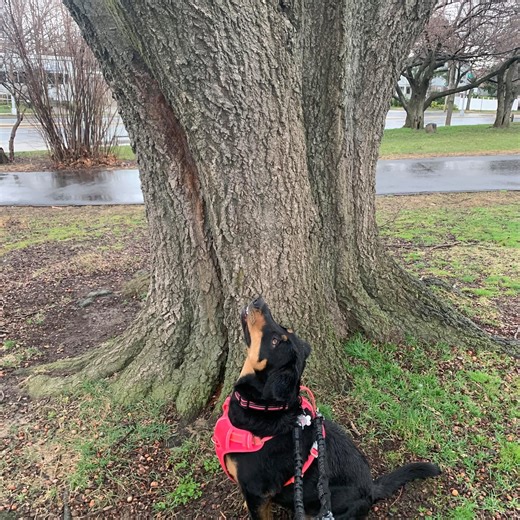 Ishpeming Michigan Community Group | NBC and Macy’s light up the sky with America’s most iconic firework display on the 49th annual “Macy’s 4th of July Fireworks” | Facebook