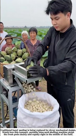 Incredible Smart Farm Machine: Fast Lotus Seed Shelling Process #farming #satisfying
