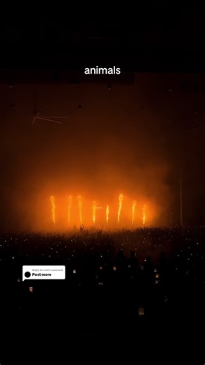 Martin Garrix Tour in Dallas - Animals Performance