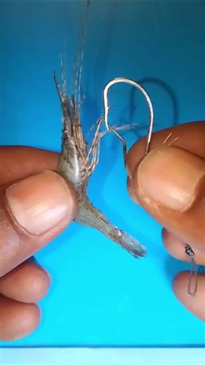 Surfcaster's Guide: Fish Cleaning Techniques