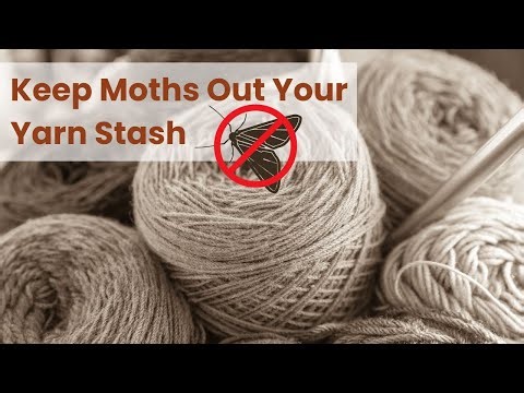 How to Prevent and Manage Moths in Your Yarn Stash