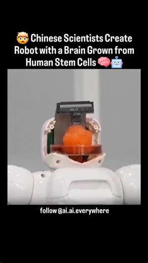NextGenAI 🚀🤖 on Instagram: "A robot… powered by a mini human brain? That’s real science now. Researchers in China have built a robot that uses a lab-grown brain organoid—cultivated from human stem cells—connected to a neural interface chip. This artificial brain allows the robot to learn, sense, and interact with its environment. It can dodge obstacles, grab objects, and adapt like a living being. Welcome to the future of bio-robotics—where machines aren’t just smart, they’re alive (kinda). Wo