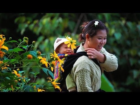 Single Mom: Building a life alone with a baby, cooking, gardening, daily life