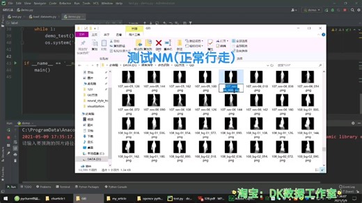 步态识别基于GEI模板和CNN卷积神经网络的步态识别gait recognition项目代做算法优秀毕业设计毕设Python实现（表征学习法）