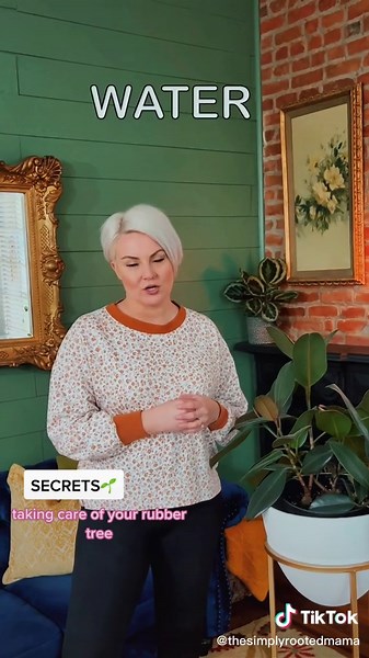 Rubber Tree Care Tips: Thrive with These Secrets