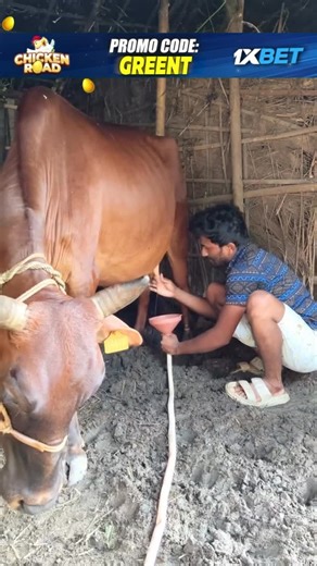 Akhil 🎭 on Instagram: "Technology hai bhai 😆🤣🤣😇 Click Link in Bio.. Ads by :- @x__tech_ads Use Promo Code: greent #1x #1xBat #1xGames #ChickenRoad#Cricket respect1xbet 🎂要怎麼不經意的讓另一一半看到這篇文👀 儀式感滿滿🈵🔜蛋糕小熊蠟燭旋轉褸盒🕯️ 嘿~閉上眼睛～許個願吧✨ 希望你的願望會實現 （偷偷按下機關）有我幫你準備的小驚喜唷 ⚠️ 商品是蛋糕小熊機關盒 沒有附戒指💍禮物要自己準備唷 流行周邊好物推薦搜尋 ✨ 玩具公仔搜尋🔍 寵物周邊搜尋 🔍 勗新商品資訊請看限時動態精選💭 下單方式🛒 🔜留言”+1；小編火速回覆你下單資訊 🔜留言”+1； 小編火速回覆你下單資訊 可自行截圖商品私訊購買‼️ 付款方式 台灣地📦匯款、ATM轉帳（可無摺）、街口支付 支持全球順豐配送🌍微信、支付寶收款 國外配送約2週左右 因天氣、不可控因素可能延誤 能接受再下單🗳️可詢問客服配送進度."