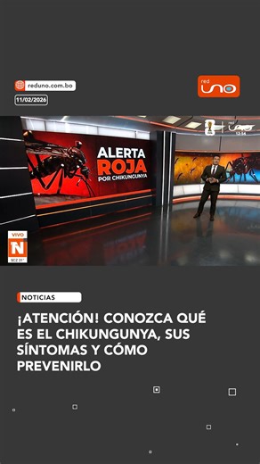 #SantaCruz | Alerta roja en Santa Cruz por chikungunya. Los casos ya superan los 1.400 contagios. Conozca qué es la enfermedad, sus síntomas, el tratamiento y cómo prevenirla. Eliminar criaderos de mosquitos es clave para frenar la propagación. ▶️ Más información en: www.reduno.com.bo #RedUno #RedUnoDigital #Notivisión | Red Uno de Bolivia