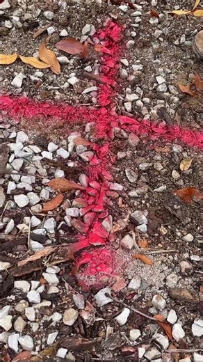 The Ultimate Tool for DIY Builders