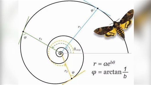 等角螺线讲解合集（含证明）