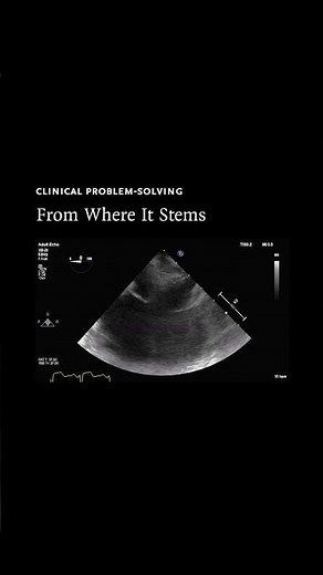 Clinical Problem-Solving: From Where It Stems
