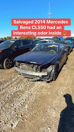 Salvaged Mercedes Benz CL550 had an interesting odor inside #salvage #crash #benz #sativa | Vehicle Identification Specialists (VIS)