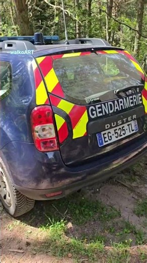 WOW! Gendarmerie Dacia Duster im Wald * Polizei In Frankreich #shorts