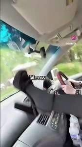 Sexy bubble butt and twerk dancing #shorts #booty 7