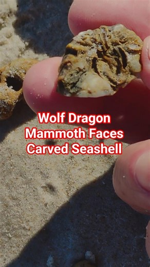 #wolf #dragon #mammoth #seashell #portablerockart #ancient #carved #rockart #rockhounding #effigy