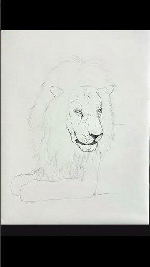 Lion Drawing Step by Step! Learn how to draw a realistic lion drawing #drawing #art #lion