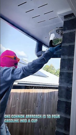Safe Hornet Nest Removal Gasoline Cup Method vs Insect Spray #insectcontrol #insecttrap #diptera