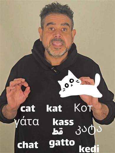 القط cat #etymology #lexicon #lexicography #dictionary #cat #latin #nubian #arabic #coptic #aramaic #akkadian #syriac #languages #linguistics #history #القاموس #القواميس #المعجم #الصناعة_المعجمية #معاجم #اللغات_وسنينها #حكايات_من_التاريخ #حضارات #لغات #ثقافات #ثقافة #تاريخ #ترجمة #عربي #يجعل_كلامنا_خفيف #learnontiktok #tikbook #تعلم_على_التيك_توك