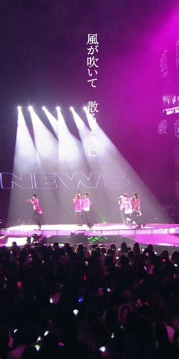 さくら色のNEWSたち：LIVE! LIVE! LIVE! DVDの魅力