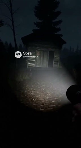 Sus moment in random shed in the woods…