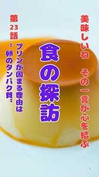 第23話「食の探訪」プリンが固まる理由は“卵のタンパク質”〈プリンが固まる理由〉 卵のタンパク質が熱で網目状に結びつく🍮✨,科学 ,プリン ,タンパク質 ,熱 ,固まる