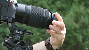 Macro Photography When You're on a Tight Budget