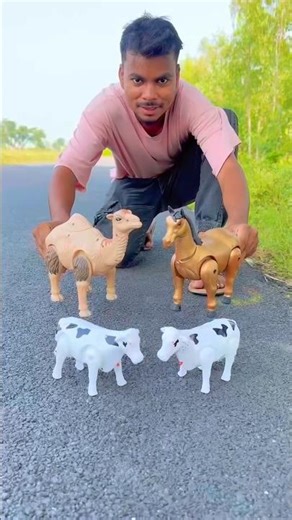 2 Remote control cow and horse remote control animal testing, ￼￼