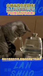 🔥😆水壶总莫名有猫毛，主人一直以为没洗干净，下班撞见瞬间当场破案！# 萌宠搞笑瞬间 #水壶猫毛谜团 #撞见猫咪作案当场破案