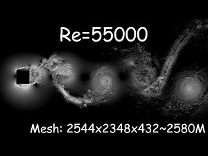 DNS of the turbulent flow around a square cylinder at Re=55000