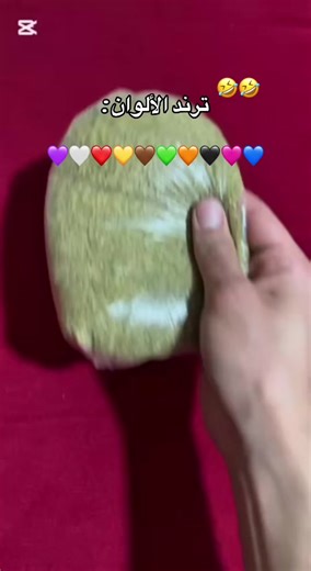 #ترند_تيك_توك #ترند_جديد #ترند_الالوان #اكسبلور | Color Trend