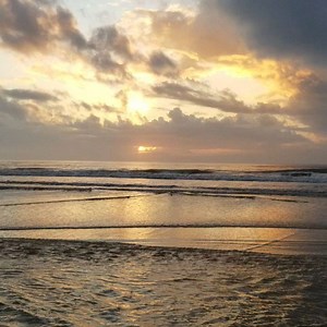 9K views · 2.1K reactions | Gorgeous morning  | First Light InSite | Facebook