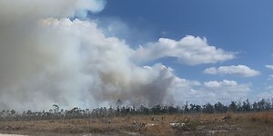 Bertha Swamp Road Fire follows Hurricane Michael’s path