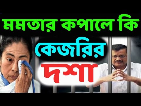 হাত খুলে ব্যাটিং করছে ইডি! ‘তুর্কিনাচনে’র ভয়ে হন্যে হয়ে নির্দোষের প্রমাণ খুঁজছেন সততার নেত্রী!