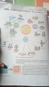 Components of EnvironmentExplain the components of the environ... | Filo