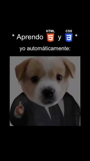 Visual Code Meme Compilation: Funny Programmer Jokes and Memes