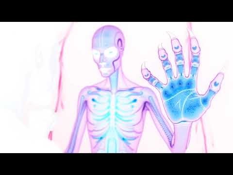 Crá Croí - Feeding The Fear - Official Video