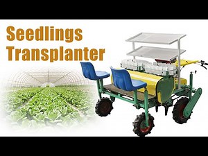 Automated 2-Row Transplanter in Action: Onion Seedling Planting! Vegetable Transplanter for Sale