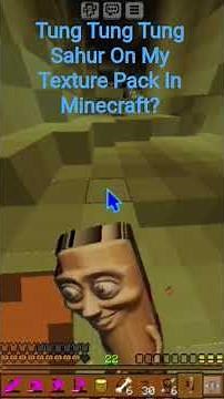 Tung Tung Tung Sahur In My Texture Pack? (DO NOT DISLIKE)