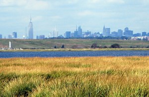 The US is losing wetlands at an accelerating rate − here’s how the private sector can help protect these valuable resources