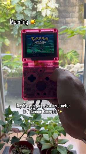 Day 17 trying to get shiny starter in Pokemon Emerald ✨ #pokemon #shorts