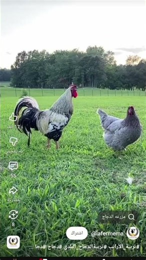 انظر ماذا حدث 😱😱