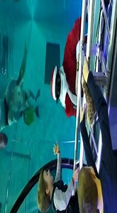 1.4K views · 87 reactions | Welcome to Santa Claus to Y-40 The Deep Joy the world's deepest pool! The deep pool will be reserved to him all the Christmas day long! See you on the 26th of December! Merry Christmas! | Y-40 The Deep Joy | Facebook